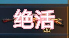 洛克手游最新爆料視頻,神秘角色登場，戰斗系統革新揭秘！