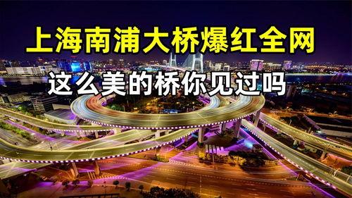 玉圭園最新爆料視頻播放,揭秘神秘視頻背后的驚人真相